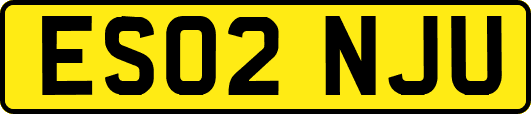 ES02NJU