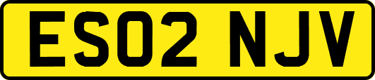 ES02NJV