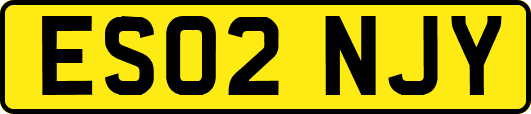 ES02NJY