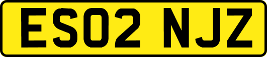 ES02NJZ