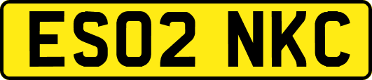 ES02NKC