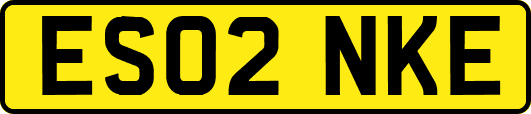 ES02NKE