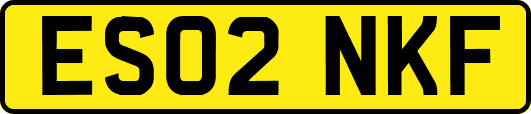 ES02NKF