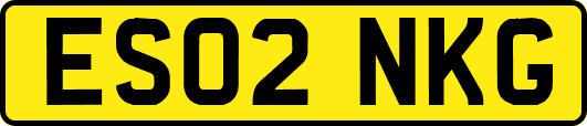 ES02NKG