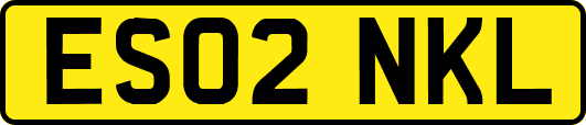 ES02NKL