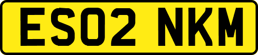ES02NKM