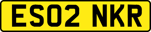 ES02NKR