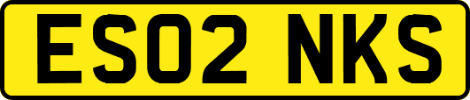 ES02NKS