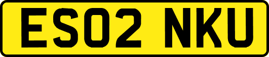 ES02NKU