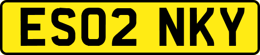 ES02NKY