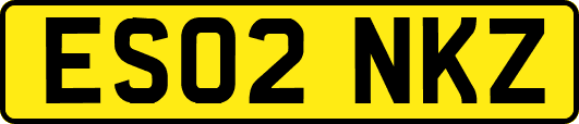 ES02NKZ