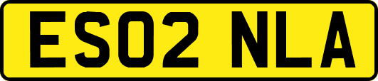 ES02NLA