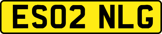 ES02NLG