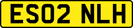 ES02NLH