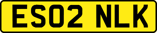 ES02NLK