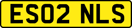 ES02NLS