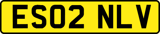 ES02NLV