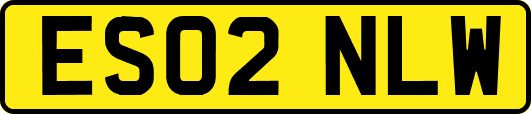 ES02NLW