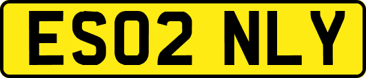 ES02NLY