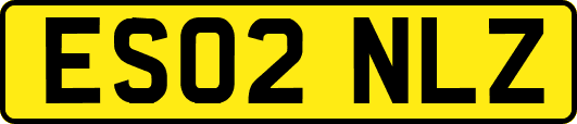 ES02NLZ