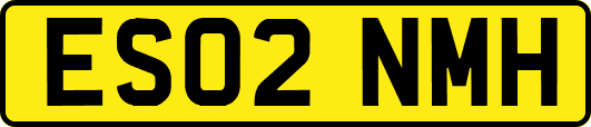 ES02NMH