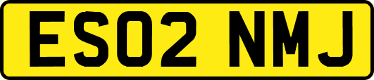 ES02NMJ