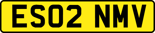 ES02NMV