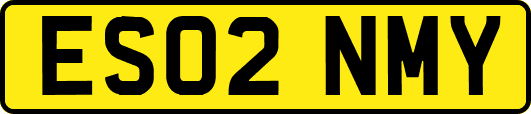 ES02NMY