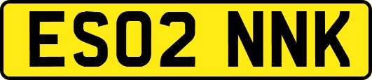 ES02NNK