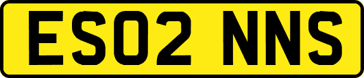 ES02NNS