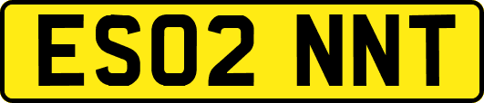 ES02NNT