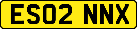 ES02NNX