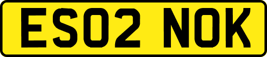 ES02NOK