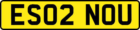 ES02NOU