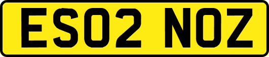ES02NOZ