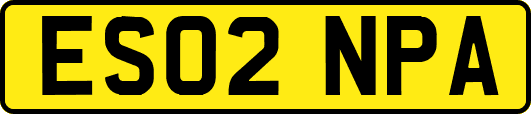 ES02NPA
