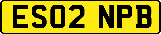 ES02NPB