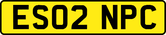ES02NPC