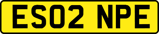 ES02NPE