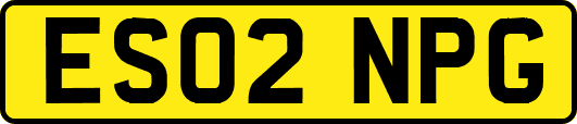 ES02NPG