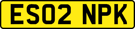 ES02NPK