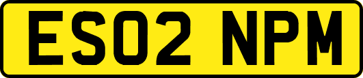 ES02NPM