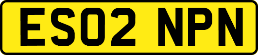 ES02NPN