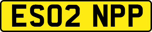 ES02NPP