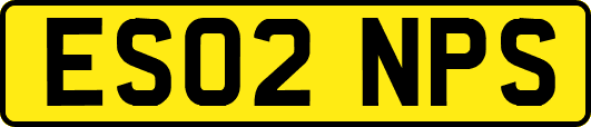 ES02NPS