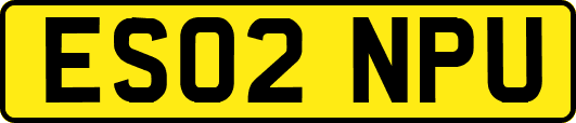 ES02NPU