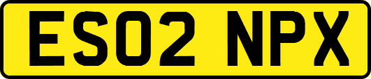 ES02NPX