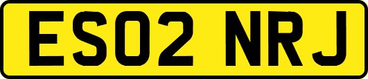 ES02NRJ