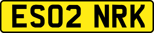 ES02NRK