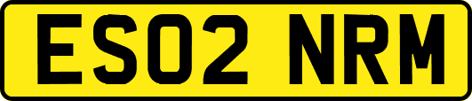 ES02NRM